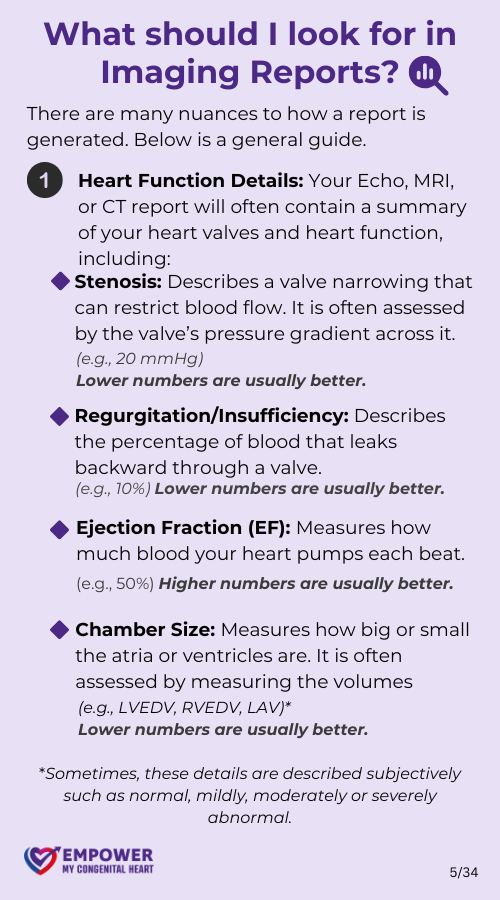 A Guide To Confidently Understanding and Navigating Your CHD Tests